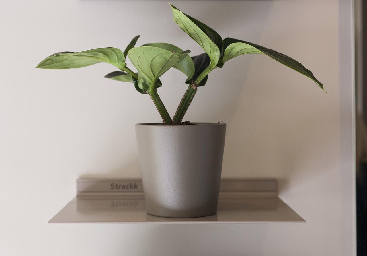 Destinationbcn - Universitat Hotell Barcelona
